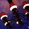 Filmato sul locale