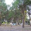 Foto 4 del locale
