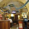 L'Antico Bar Commercio vestito da Oktoberfest