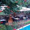 Lounge Terrace