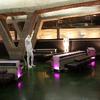 latte piu new gallery