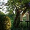 Foto 1 del locale