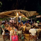 Giugno In Musica All'eucaliptus | 2night Eventi Teramo