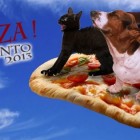 Aperitivo & Giro Pizza A Favore Dei Pelosi All'aurora | 2night Eventi Verona