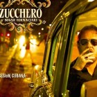 Zucchero, Nuovi Concerti 2013 | 2night Eventi 