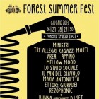 Forest Summer Fest 2013 | 2night Eventi Bergamo
