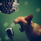 Karaoke Al Baialuna | 2night Eventi Milano
