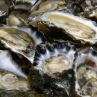 Crudo & Champagne  Al Perbacco: 3° Edizione | 2night Eventi Venezia