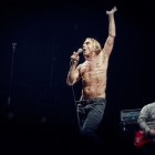 Iggy Pop A Roma E Milano | 2night Eventi Milano
