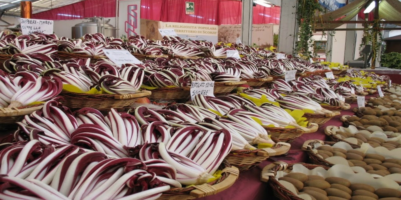 La 34° Festa del Radicchio a Rio San Martino La 34° Festa del Radicchio a Rio San Martino