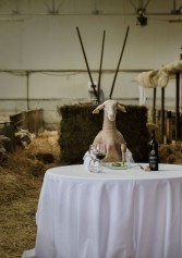 Sei Produttori Abruzzesi Per Sei Chef Che Giocano In Cucina! | 2night Eventi Pescara Sei Produttori Abruzzesi Per Sei Chef Che Giocano In Cucina! | 2night Eventi Pescara