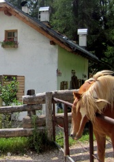 10 Malghe E Rifugi Gourmet: Mangiare Bene, E Tanto, In Alta Quota | 2night Eventi 10 Malghe E Rifugi Gourmet: Mangiare Bene, E Tanto, In Alta Quota | 2night Eventi