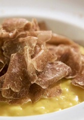 i 7 Ristoranti Migliori Dove Farsi Una Scorpacciata Di Tartufo Bianco D'alba | 2night Eventi i 7 Ristoranti Migliori Dove Farsi Una Scorpacciata Di Tartufo Bianco D'alba | 2night Eventi