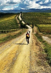 piste Ciclabili, Le Più Belle D’italia. Per Tutti I Tipi Di Passeggiata | 2night Eventi piste Ciclabili, Le Più Belle D’italia. Per Tutti I Tipi Di Passeggiata | 2night Eventi