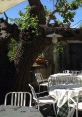 Pranzo Fuori Porta, Mini Guida Ai Migliori Ristoranti Dei Castelli Romani | 2night Eventi Roma Pranzo Fuori Porta, Mini Guida Ai Migliori Ristoranti Dei Castelli Romani | 2night Eventi Roma
