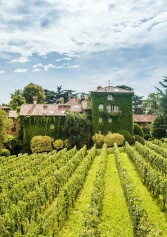 il Wine Resort Celo, Manca? Eccone 7 Di Bellissimi Perché La Vendemmia è Dietro L'angolo | 2night Eventi il Wine Resort Celo, Manca? Eccone 7 Di Bellissimi Perché La Vendemmia è Dietro L'angolo | 2night Eventi