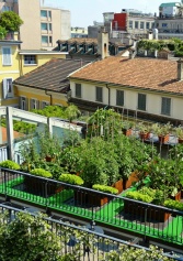 I locali particolari di Milano da conoscere per un'esperienza insolita | 2night Eventi I locali particolari di Milano da conoscere per un'esperienza insolita | 2night Eventi