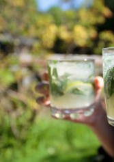 Voglia Di Mojito, Ecco Dove Bere I Migliori A Roma | 2night Eventi Roma Voglia Di Mojito, Ecco Dove Bere I Migliori A Roma | 2night Eventi Roma