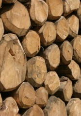 Quando Il Legno Diventa Arte Nella Valle Bembrana | 2night Eventi Bergamo
