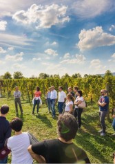Le Sagre Di Settembre A Brescia E Provincia | 2night Eventi Brescia Le Sagre Di Settembre A Brescia E Provincia | 2night Eventi Brescia