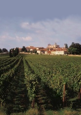 13 Bellissimi Giardini/vigneto In Italia. Tra Paesaggio E Degustazione | 2night Eventi 13 Bellissimi Giardini/vigneto In Italia. Tra Paesaggio E Degustazione | 2night Eventi