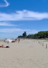 L'estate Si Chiama Eucaliptus | 2night Eventi Teramo L'estate Si Chiama Eucaliptus | 2night Eventi Teramo