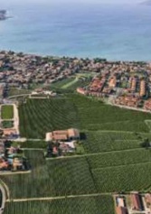 Ca' Dei Frati Protagonista Della Nuova Cena Degustazione Da Signorvino Brescia | 2night Eventi Brescia Ca' Dei Frati Protagonista Della Nuova Cena Degustazione Da Signorvino Brescia | 2night Eventi Brescia