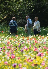 Pasquetta last minute in Veneto: 10 cose da fare se non hai prenotato proprio nulla | 2night Eventi Pasquetta last minute in Veneto: 10 cose da fare se non hai prenotato proprio nulla | 2night Eventi