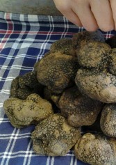 I Migliori Locali Dove Mangiare Il Tartufo A Roma | 2night Eventi Roma I Migliori Locali Dove Mangiare Il Tartufo A Roma | 2night Eventi Roma