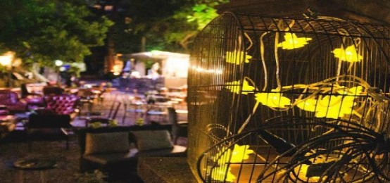 Aperitivo che Canta al Brasini Garden Aperitivo che Canta al Brasini Garden