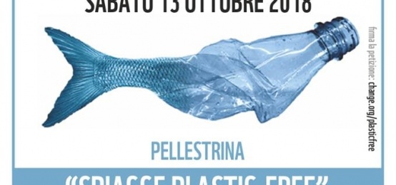Spiagge Plastic-Free a Pellestrina Spiagge Plastic-Free a Pellestrina