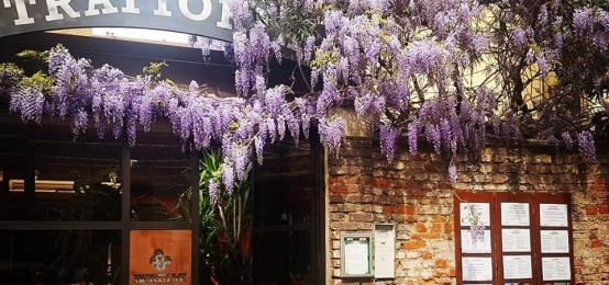 Pasqua 2019 alla Trattoria Bertamé Pasqua 2019 alla Trattoria Bertamé