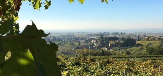 Wine & Food Tasting: Santa Sofia, i Classici Vini Veronesi dal 1811 Wine & Food Tasting: Santa Sofia, i Classici Vini Veronesi dal 1811