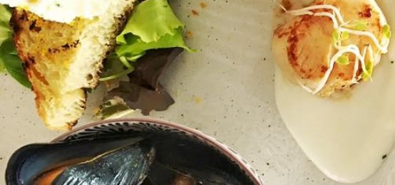 La cena glamour di Norma La cena glamour di Norma
