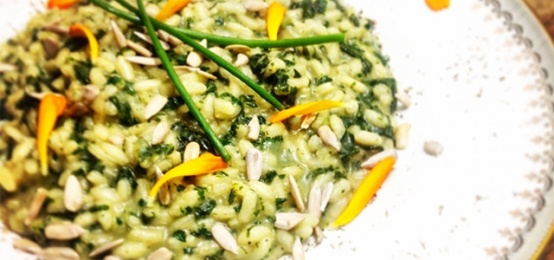 Il corso di cucina fusion vegan di UMAMI - Natura Golosa Il corso di cucina fusion vegan di UMAMI - Natura Golosa