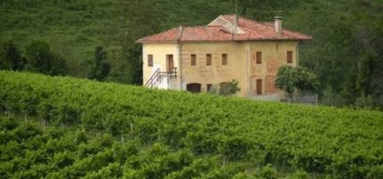 Ricamare tra i vigneti a Rovescala Ricamare tra i vigneti a Rovescala