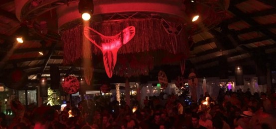 Papagayo all'Anima Papagayo all'Anima