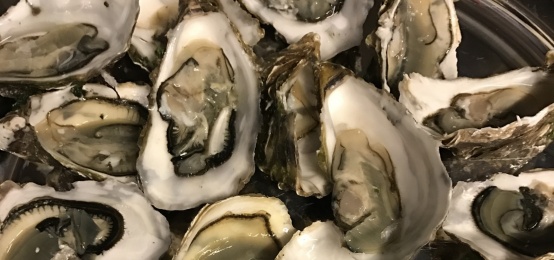 APERI… Cena: Gin & Fish in Aqualux Hotel & Spa APERI… Cena: Gin & Fish in Aqualux Hotel & Spa