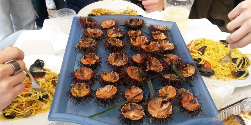 ricci di mare https://www.facebook.com/photo.php?fbid=1389630974413739&set=a.935353199841521.1073741826.100001005486401&type=3&theater