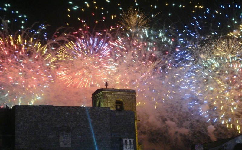 redattori licheri festa patronale