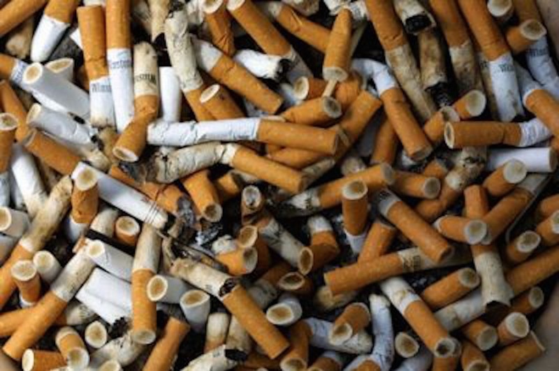 redattori licheri il fumatore