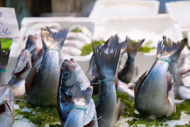 pesce mercato