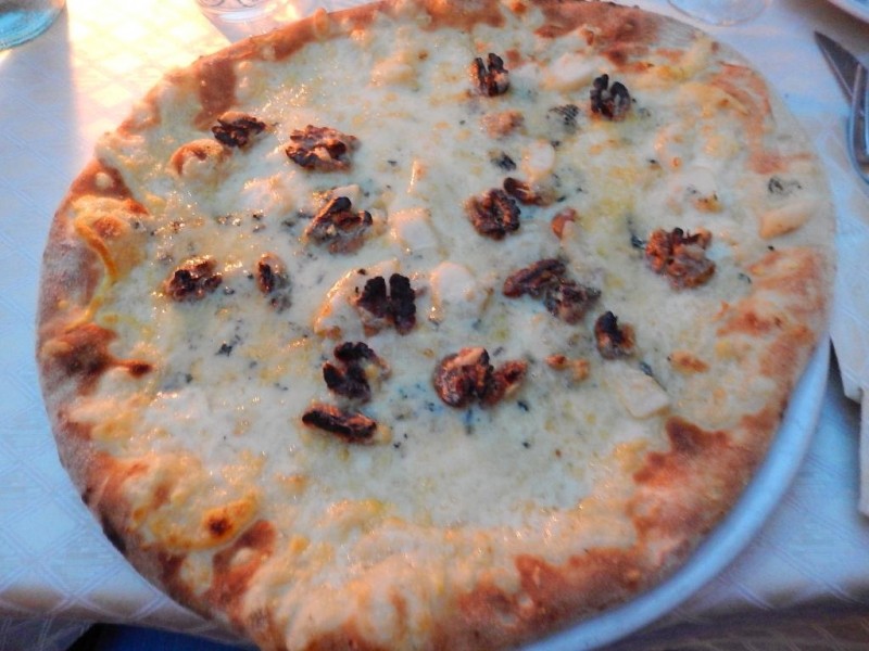 pinguino