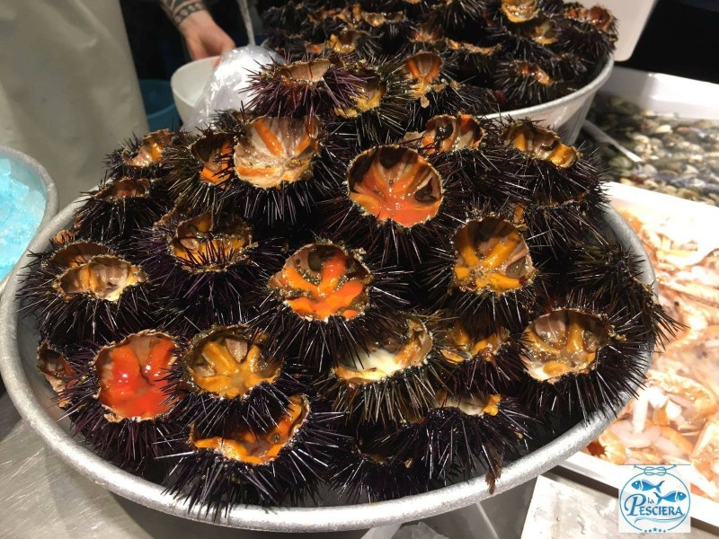 ricci di mare la pesciera bari