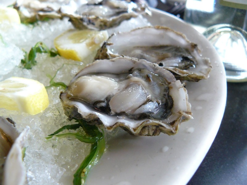 ostriche