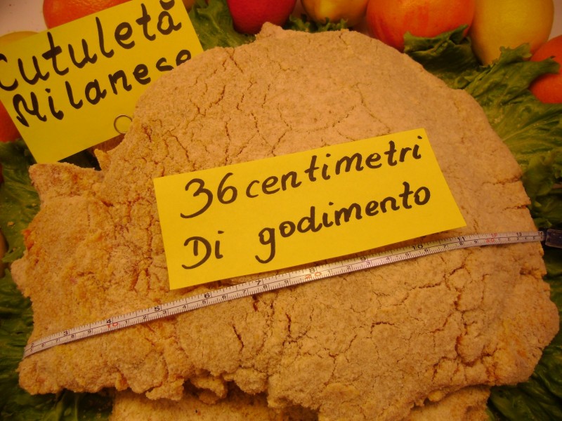 orecchia d'elefante