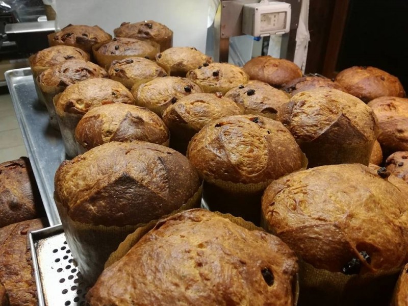 panettone del cinquesensi