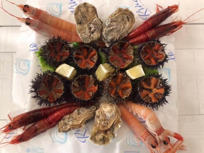 krudo bisceglie aperitivo frutti di mare puglia