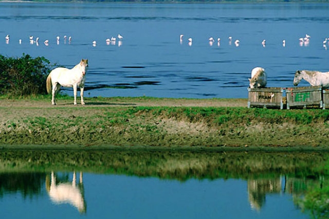parchi veneto po