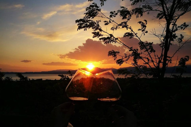 aperitivo villa veneto